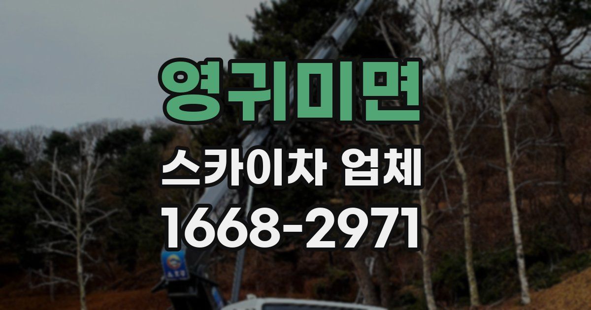 영귀미면 스카이차 업체