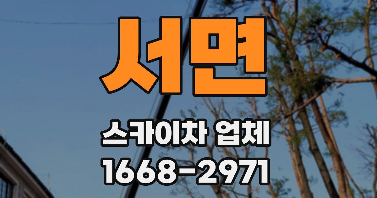 서면 스카이차 업체