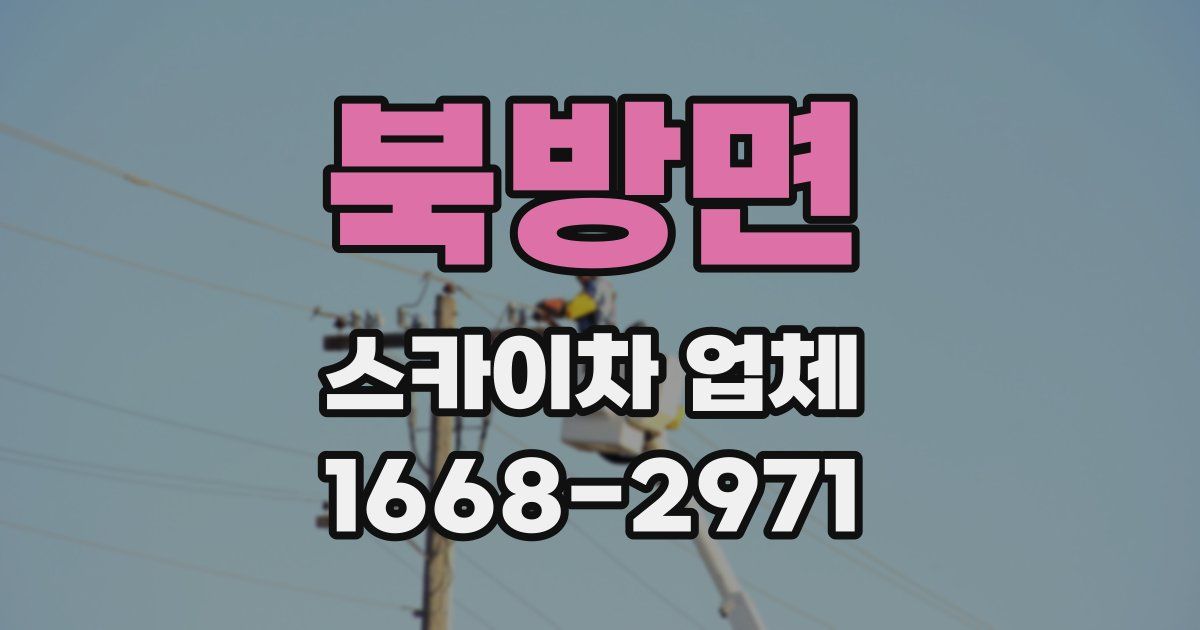 북방면 스카이차 업체