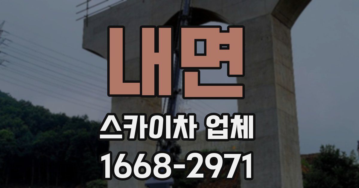 내면 스카이차 업체