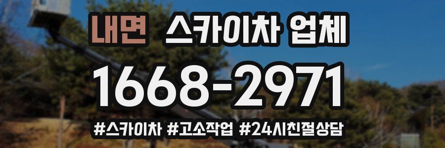내면 스카이차 업체
