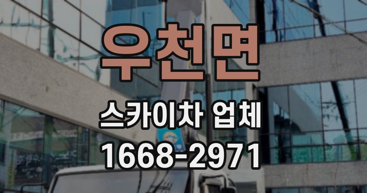 우천면 스카이차 업체