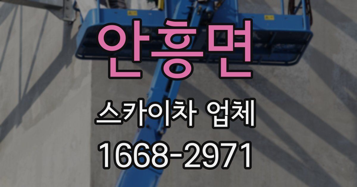 안흥면 스카이차 업체