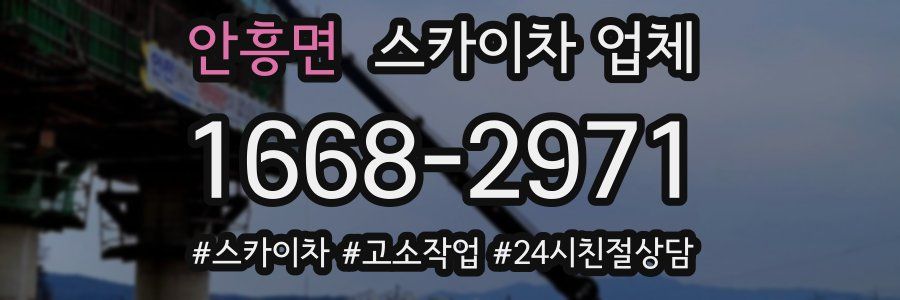 안흥면 스카이차 업체