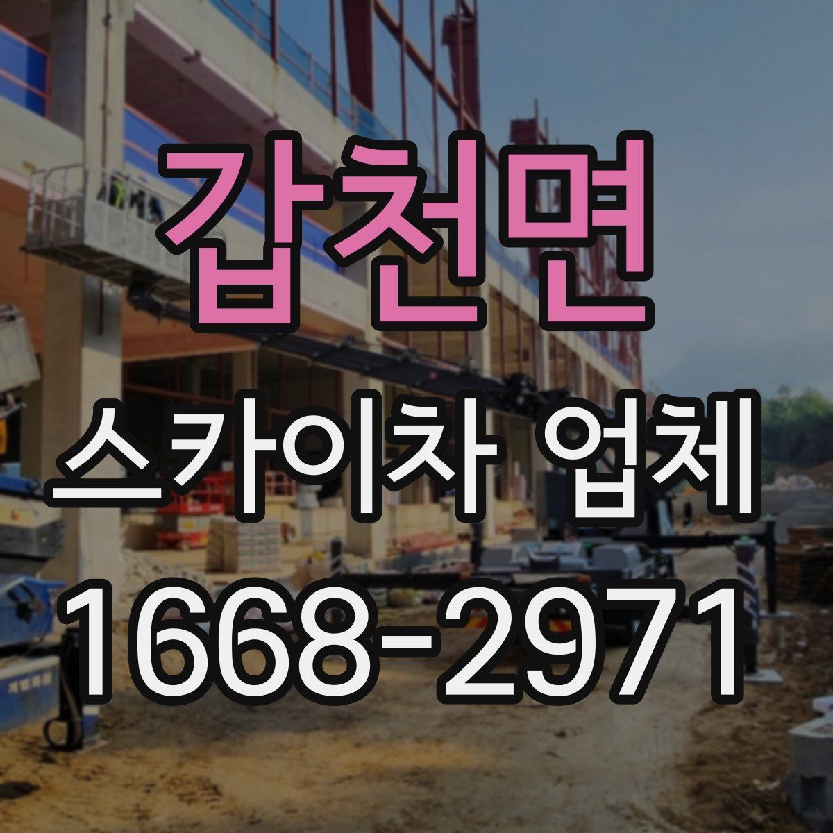 갑천면 스카이차 업체