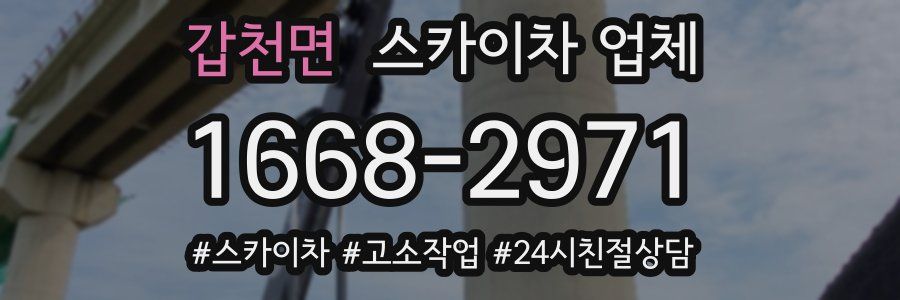 갑천면 스카이차 업체