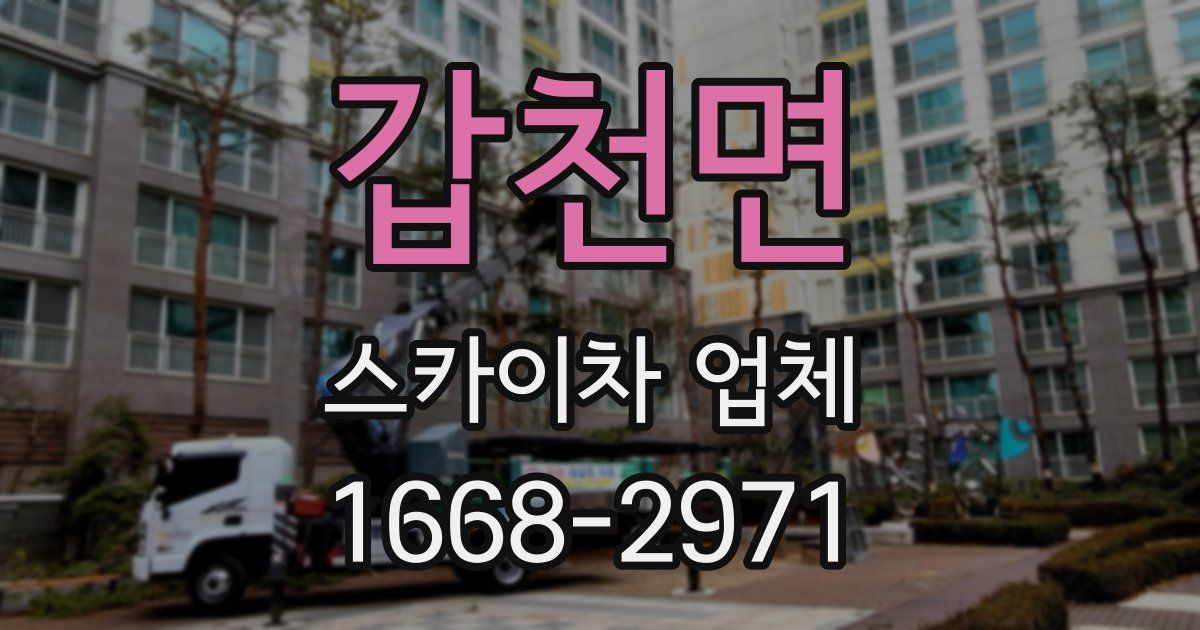 갑천면 스카이차 업체