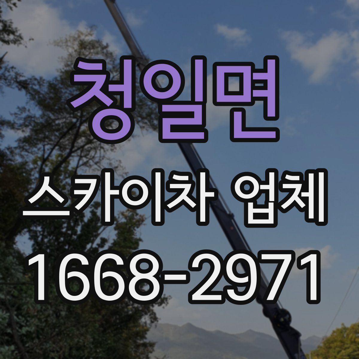 청일면 스카이차 업체