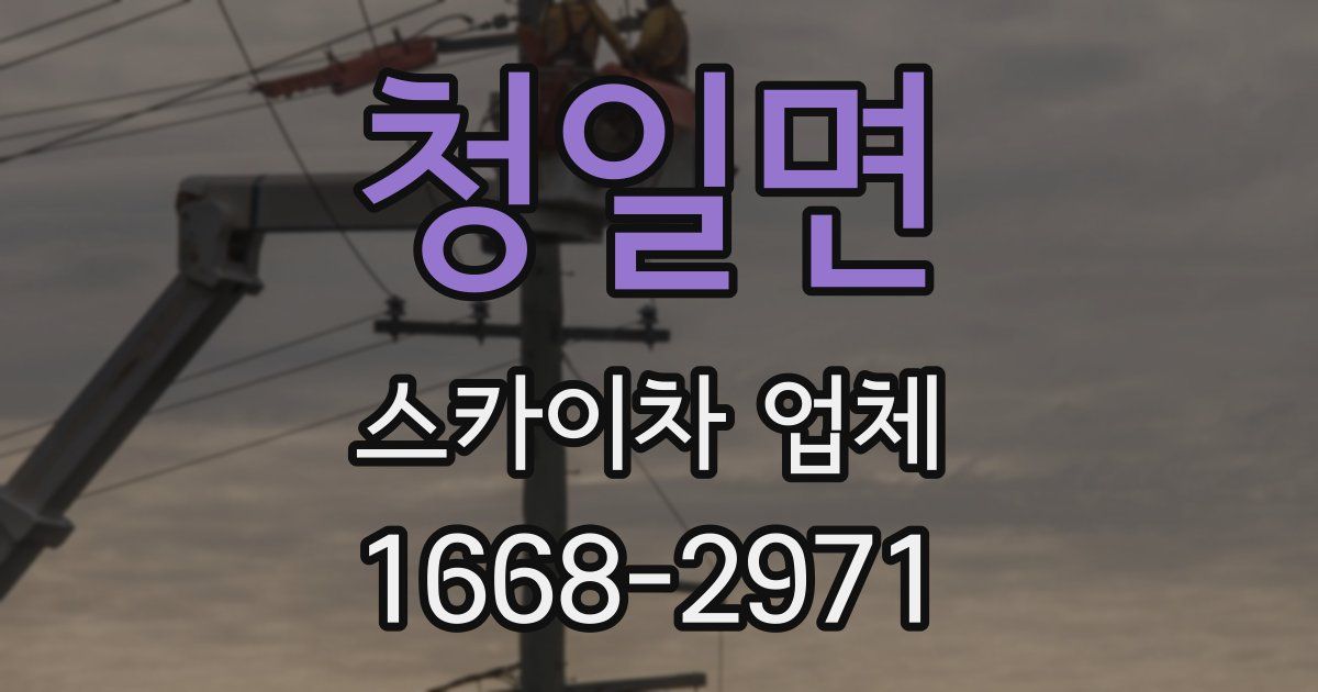 청일면 스카이차 업체