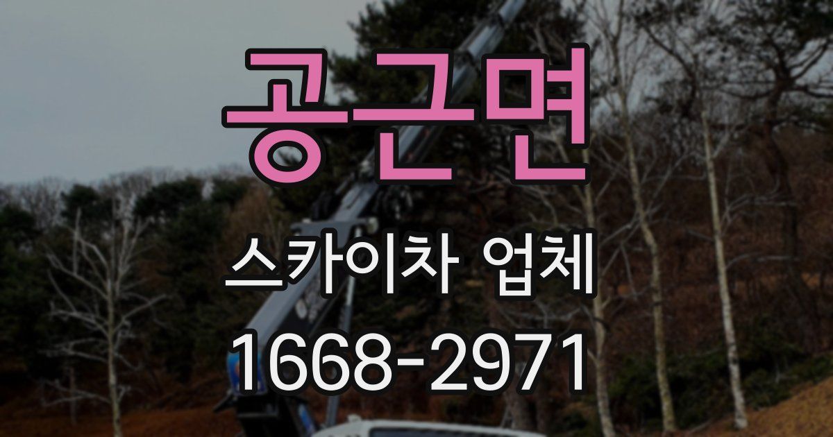공근면 스카이차 업체