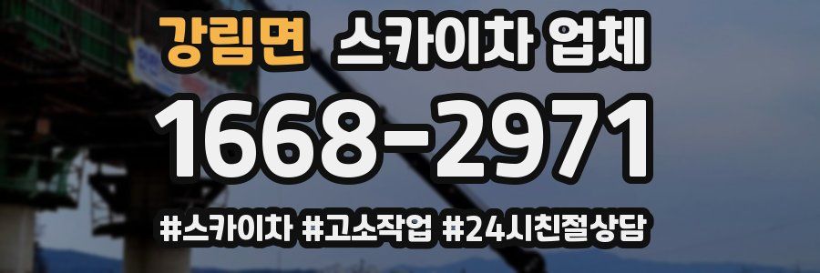 강림면 스카이차 업체