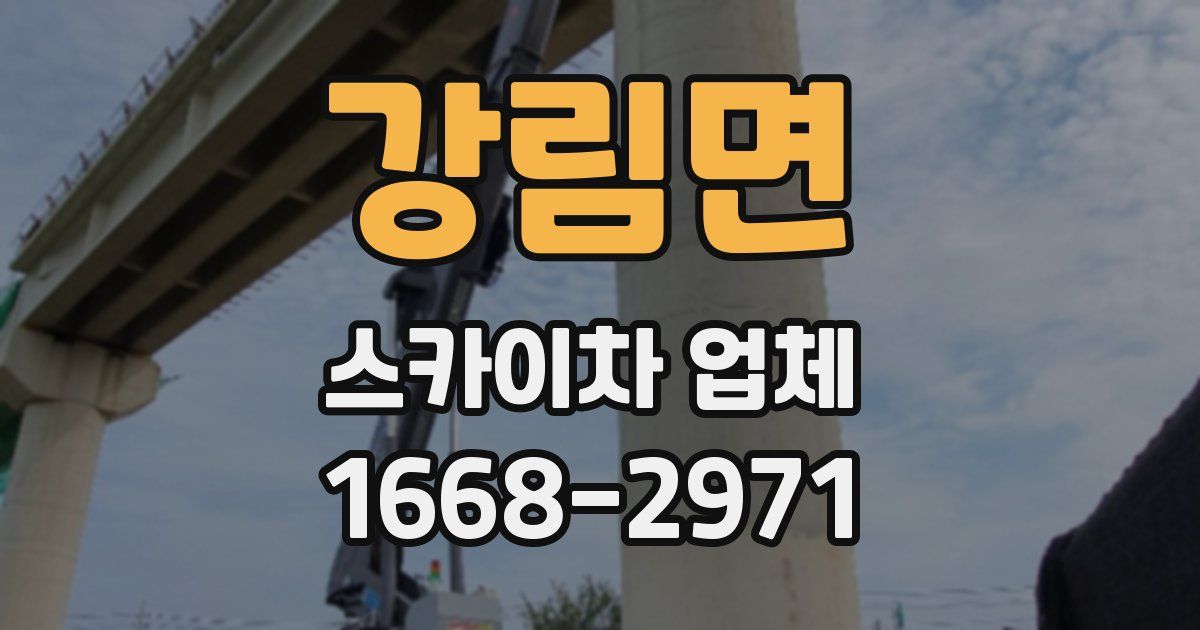 강림면 스카이차 업체