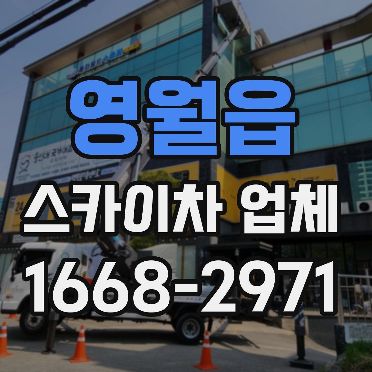 영월읍 스카이차 업체