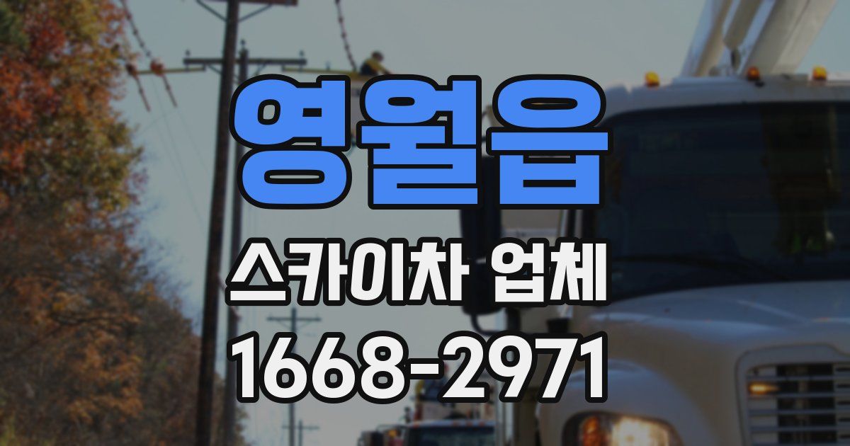 영월읍 스카이차 업체