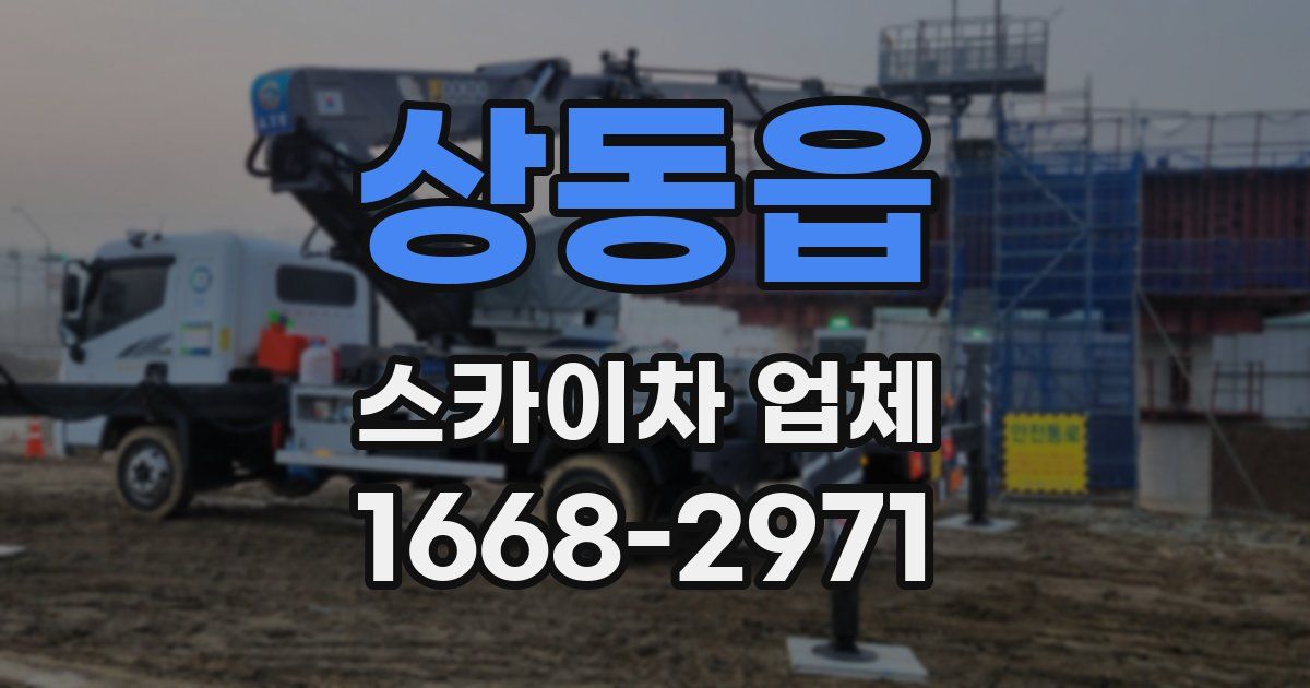 상동읍 스카이차 업체