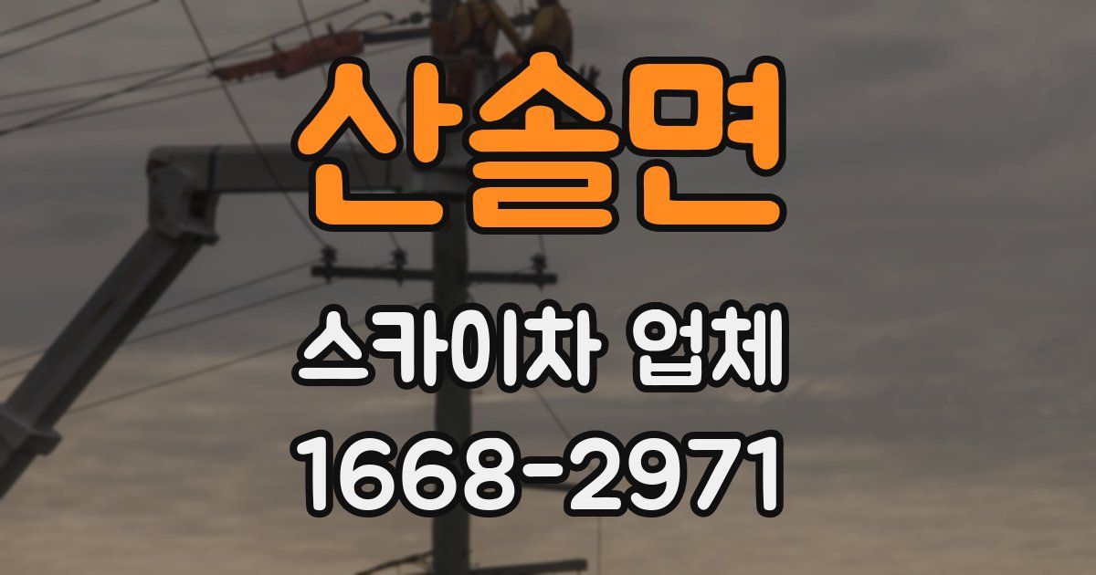산솔면 스카이차 업체