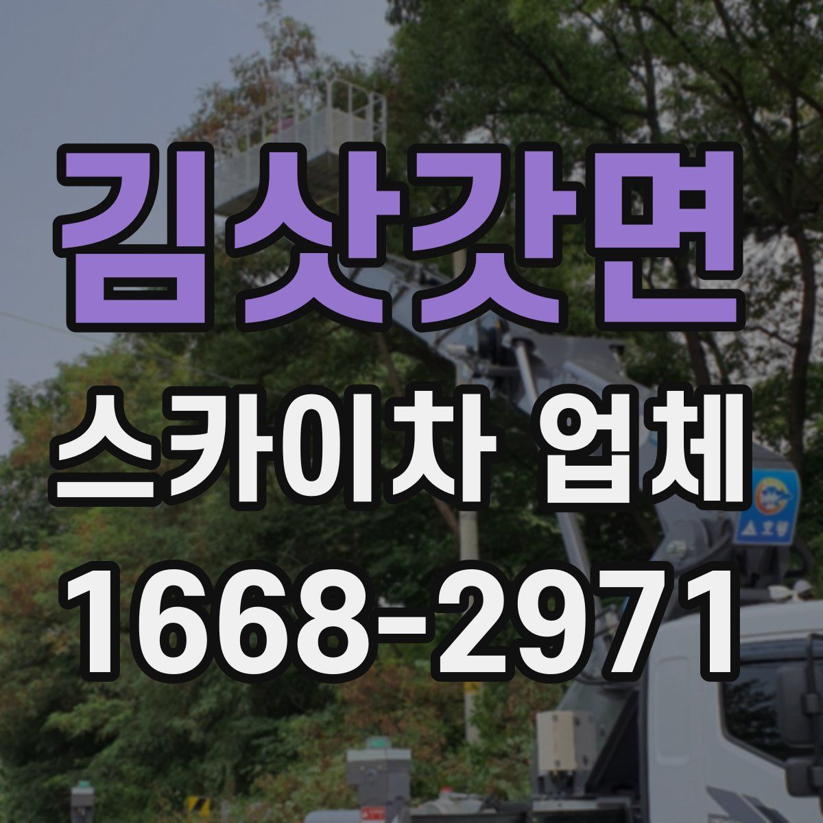 김삿갓면 스카이차 업체
