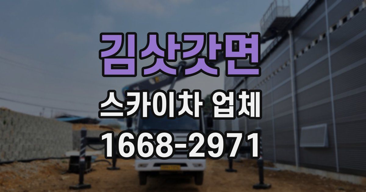김삿갓면 스카이차 업체