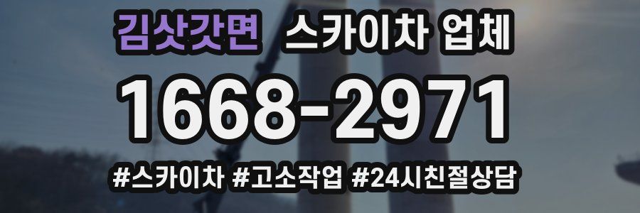 김삿갓면 스카이차 업체