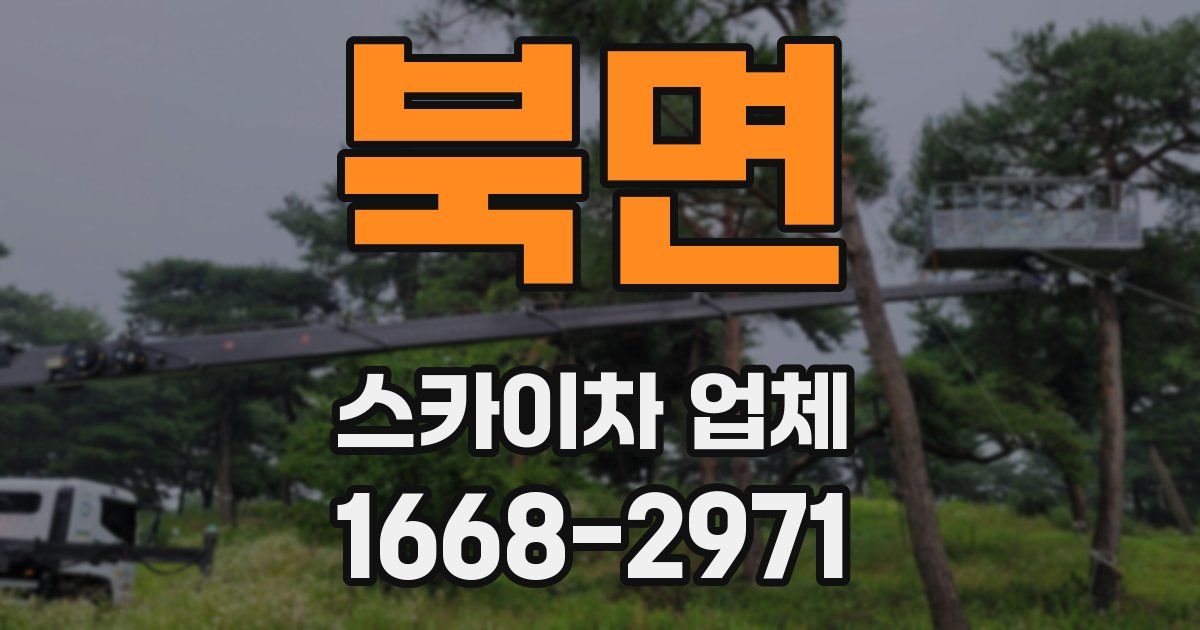 북면 스카이차 업체