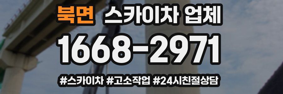 북면 스카이차 업체