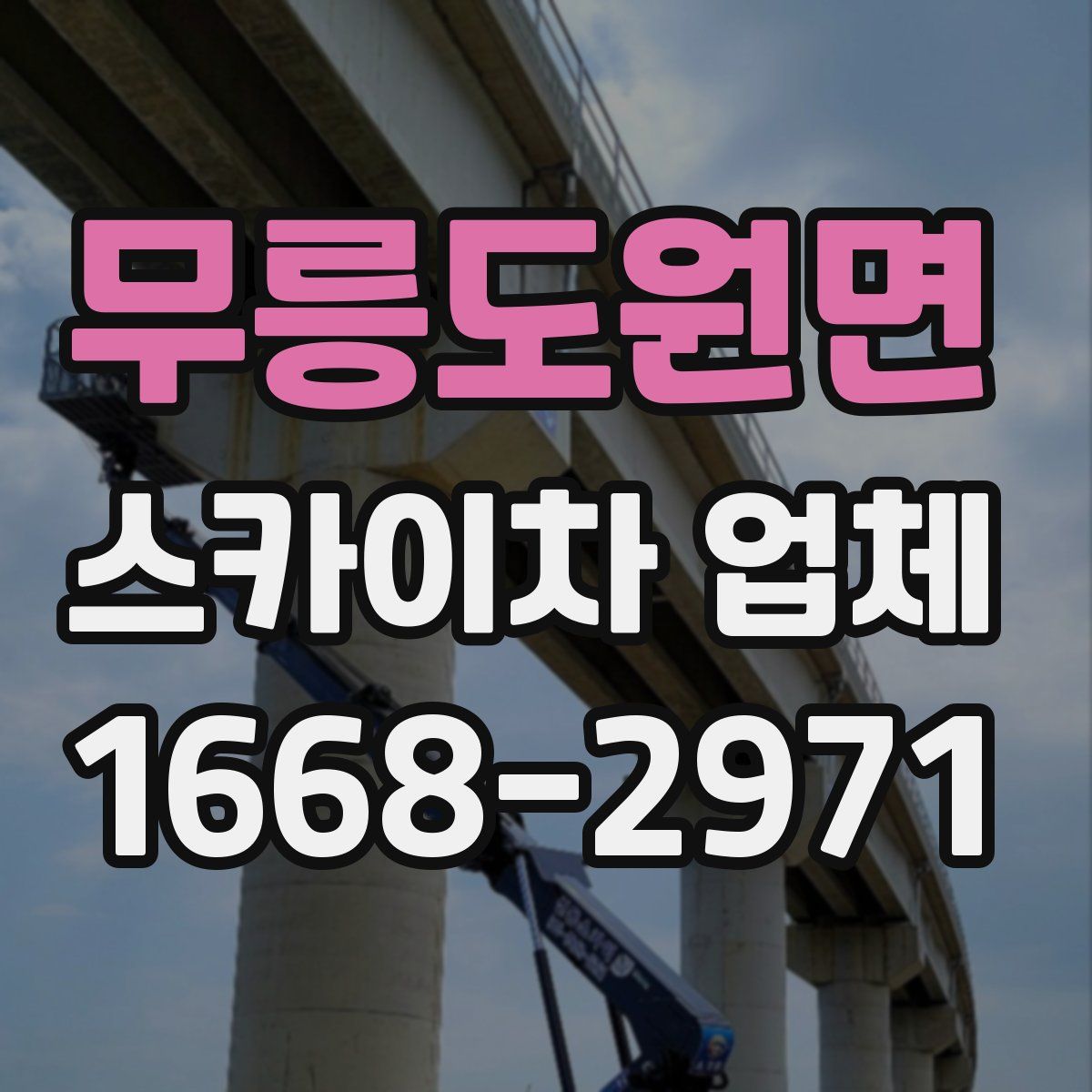 무릉도원면 스카이차 업체