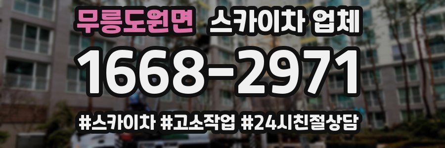 무릉도원면 스카이차 업체