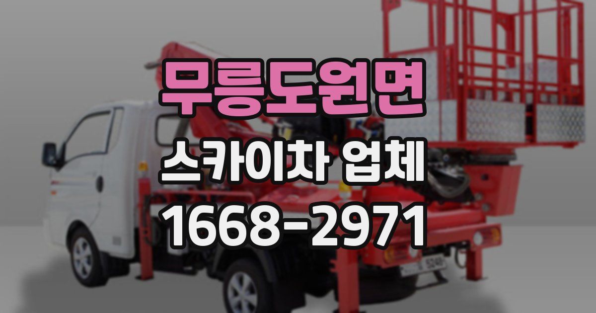 무릉도원면 스카이차 업체