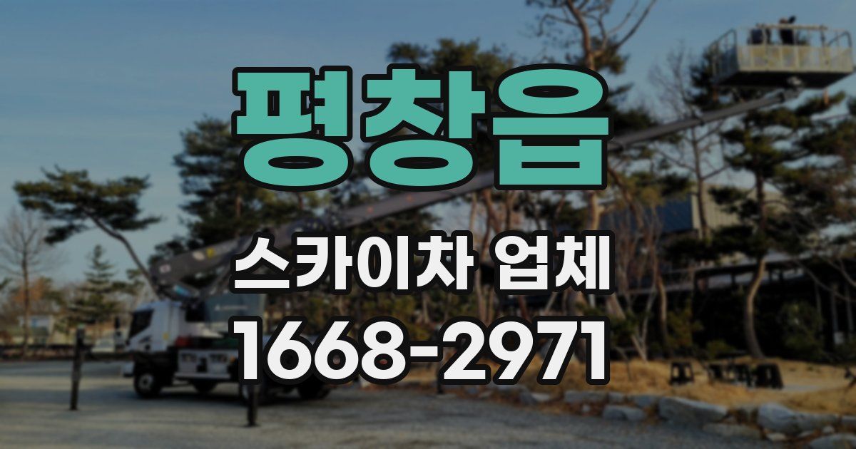 평창읍 스카이차 업체