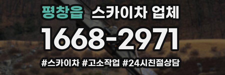 평창읍 스카이차 업체