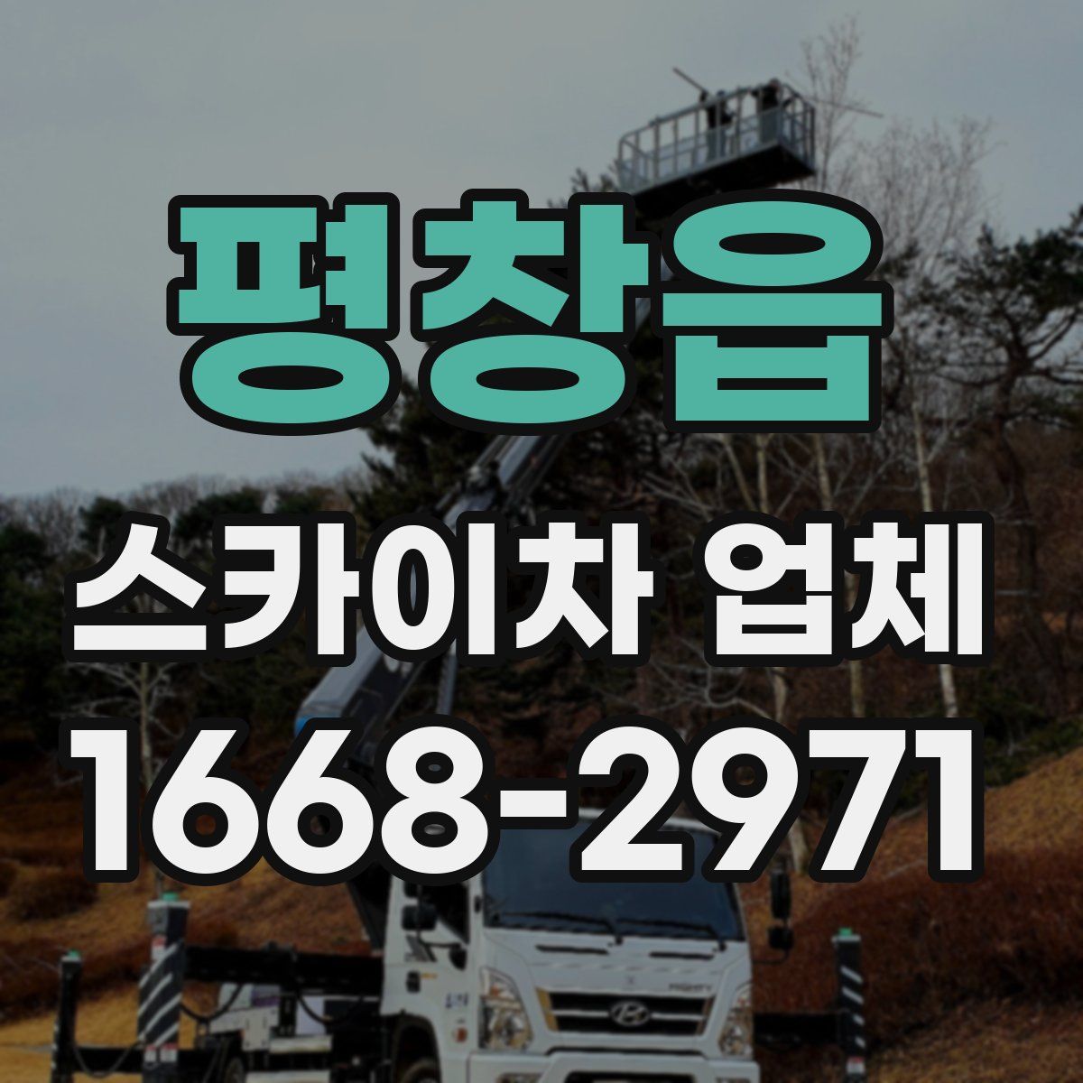 평창읍 스카이차 업체
