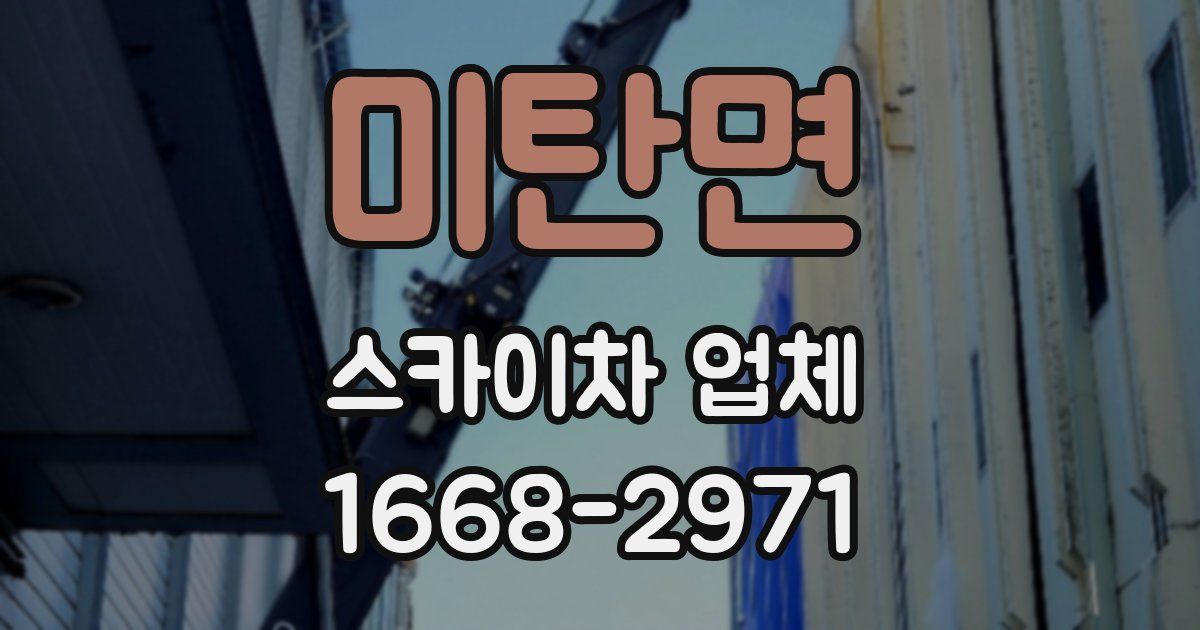 미탄면 스카이차 업체