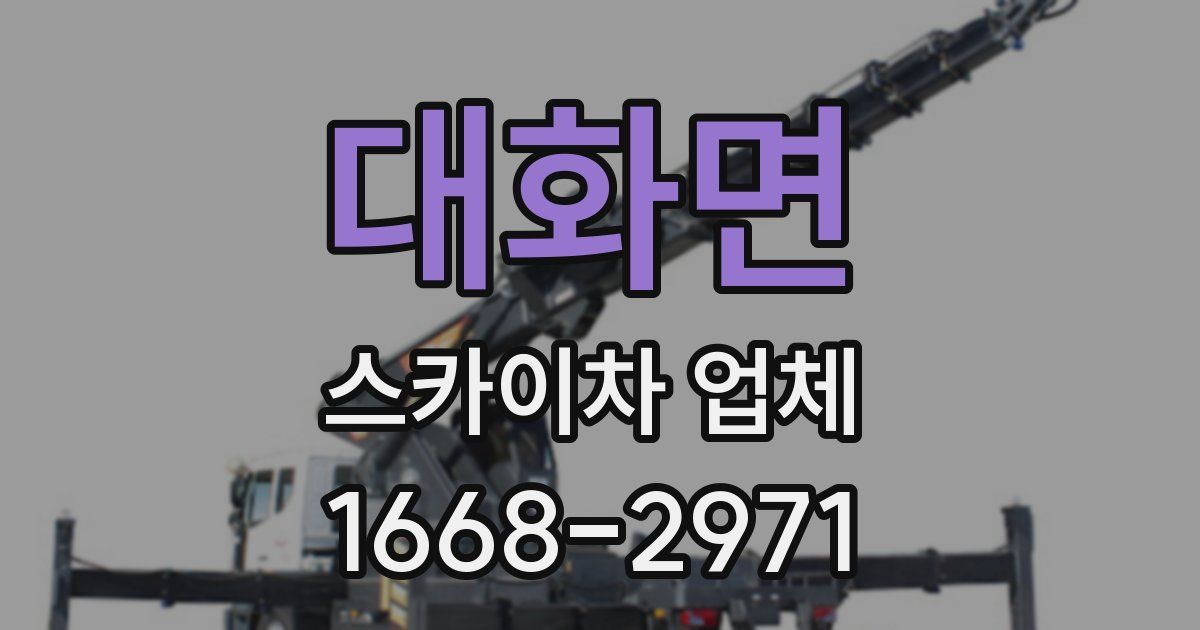 대화면 스카이차 업체