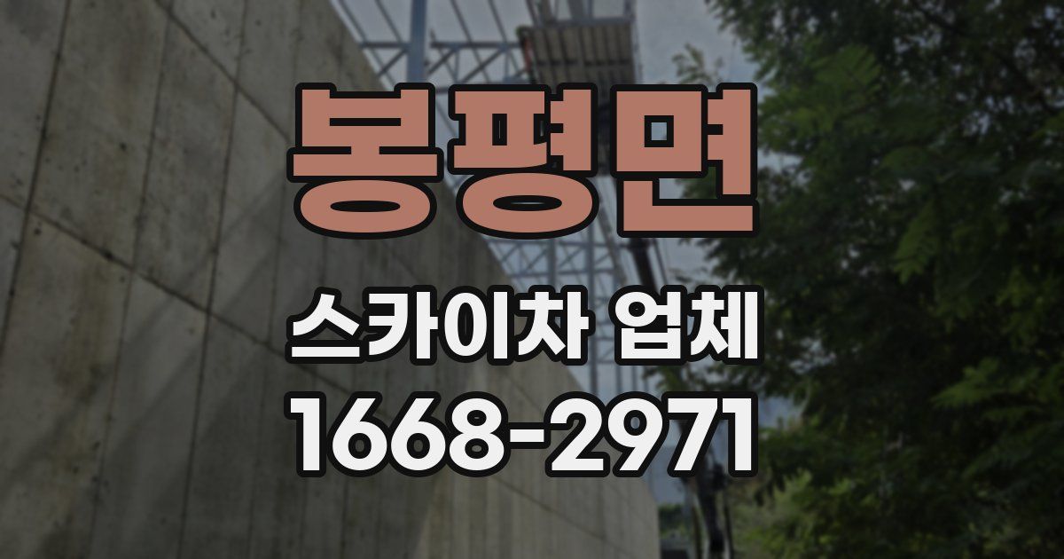 봉평면 스카이차 업체