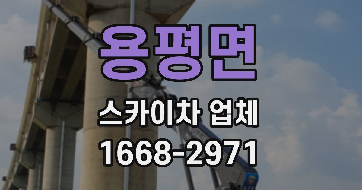 용평면 스카이차 업체