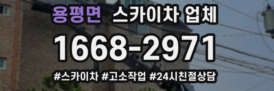 용평면 스카이차 업체