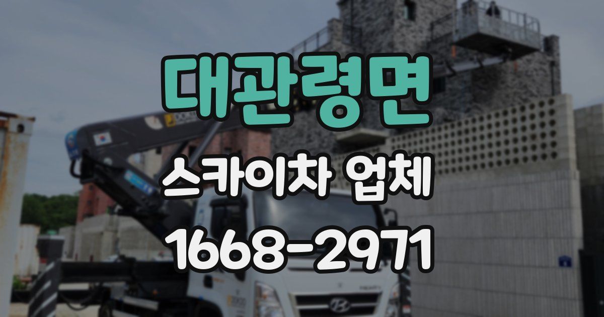 대관령면 스카이차 업체