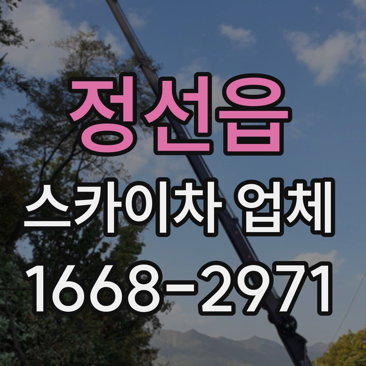 정선읍 스카이차 업체