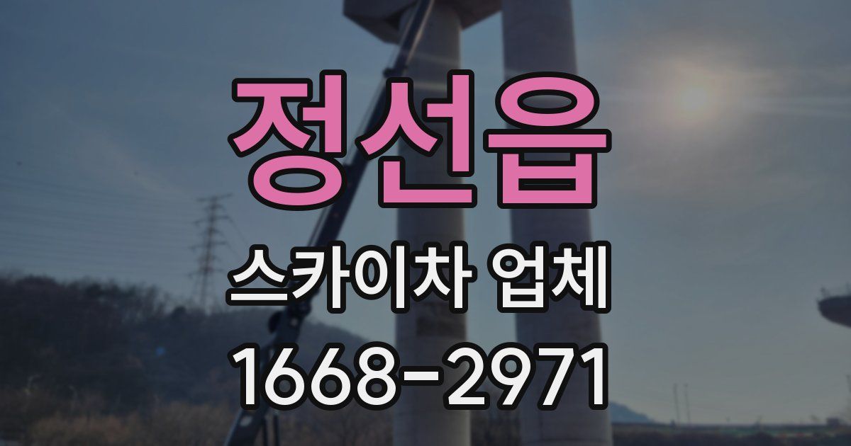 정선읍 스카이차 업체