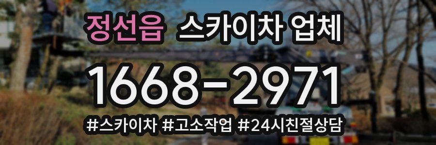 정선읍 스카이차 업체