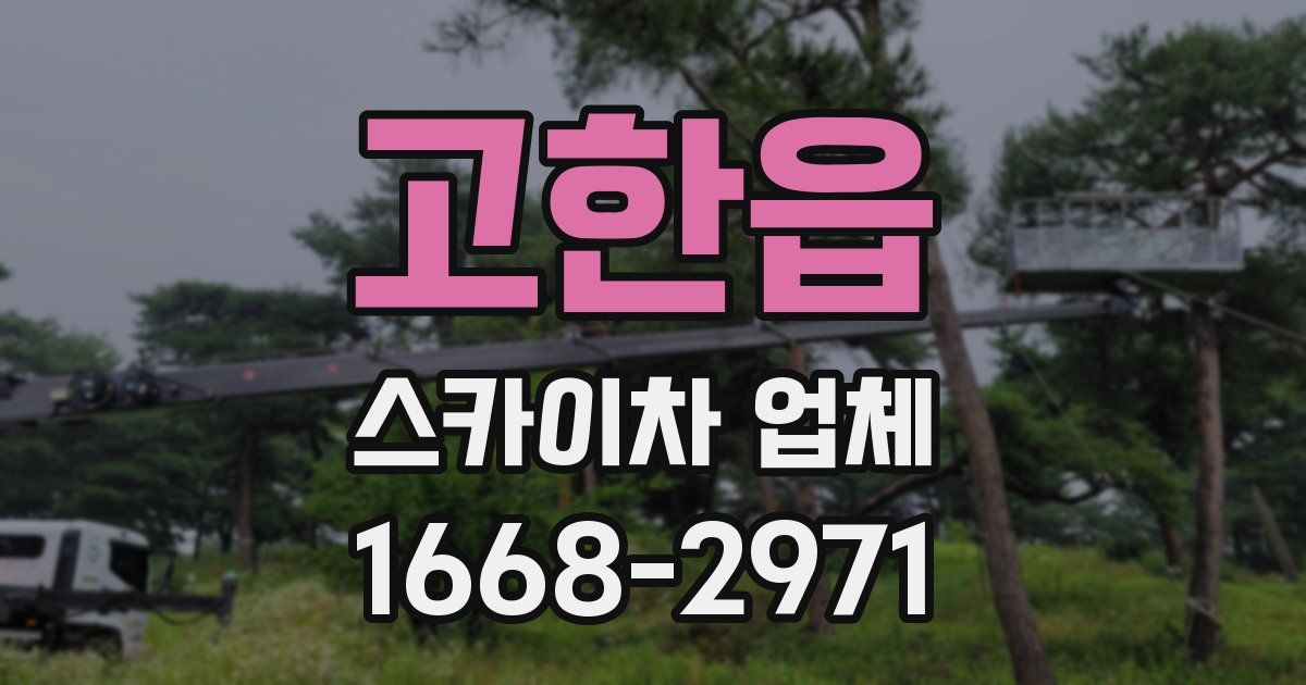 고한읍 스카이차 업체