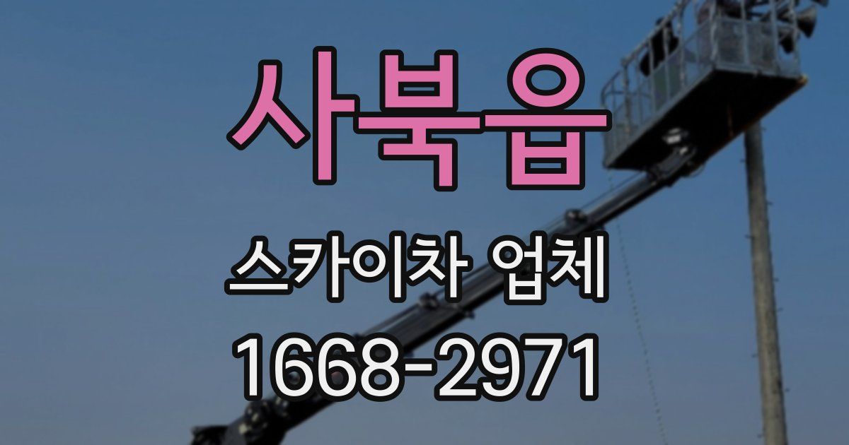 사북읍 스카이차 업체