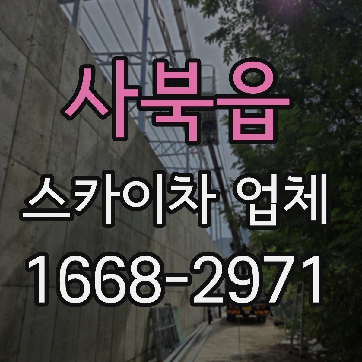 사북읍 스카이차 업체