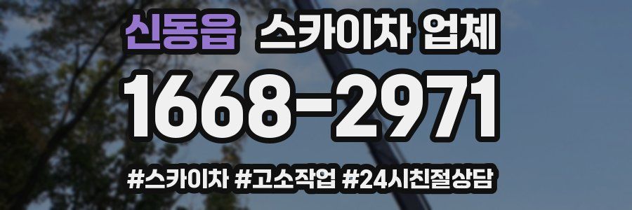 신동읍 스카이차 업체