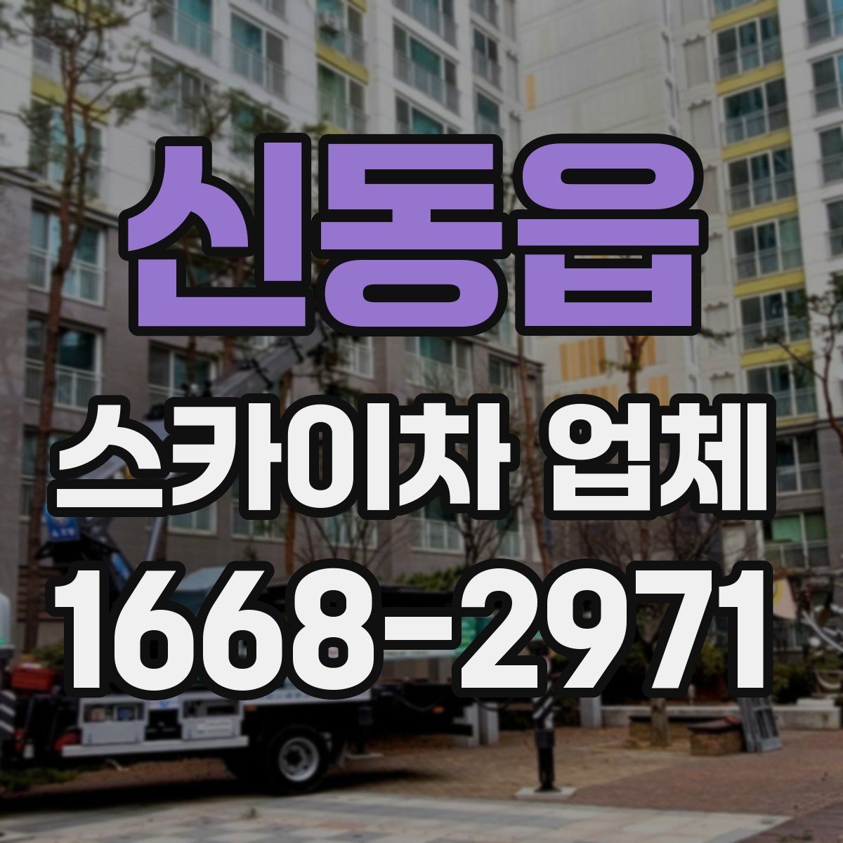 신동읍 스카이차 업체