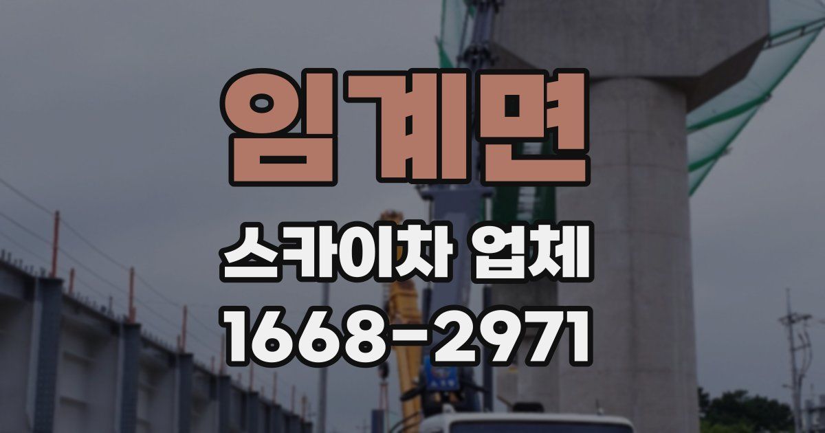 임계면 스카이차 업체
