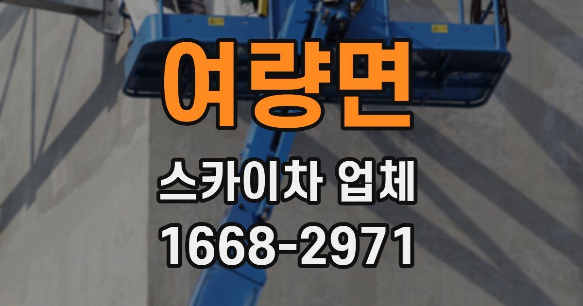 여량면 스카이차 업체