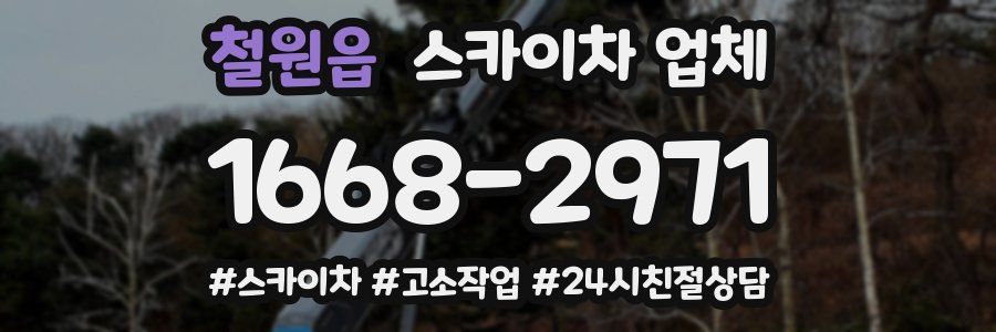 철원읍 스카이차 업체