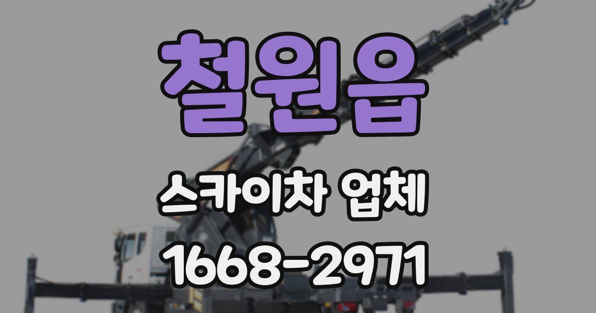 철원읍 스카이차 업체
