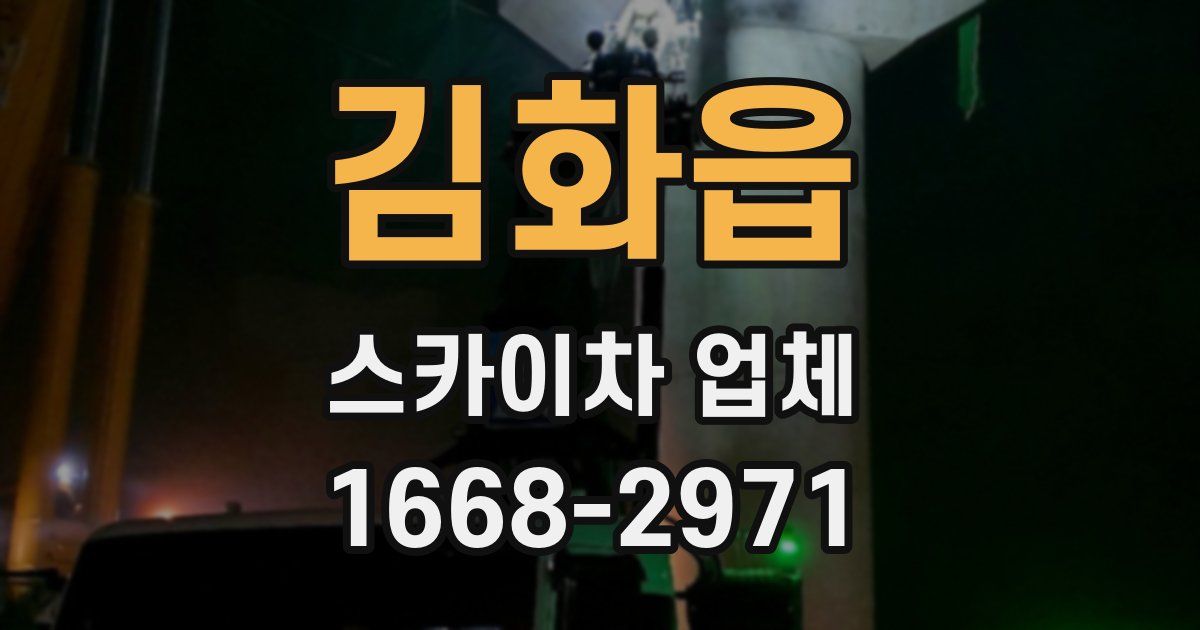 김화읍 스카이차 업체
